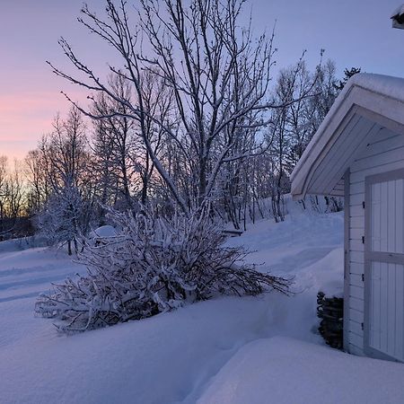 Cabin Magic On Senja, Atmosphere Like A Fairytale Botnhamn Kültér fotó