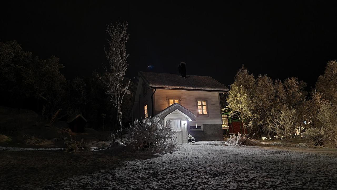 Cabin Magic On Senja, Atmosphere Like A Fairytale Botnhamn Kültér fotó