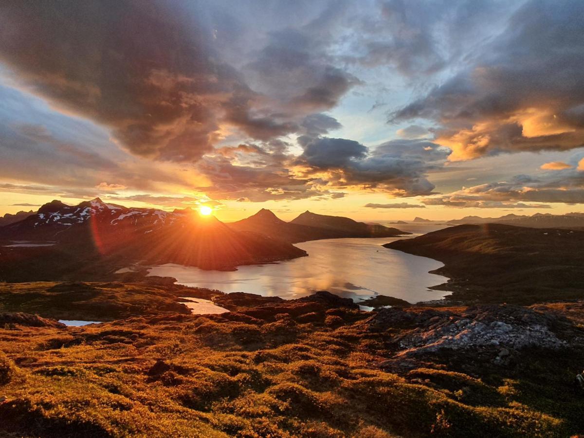 Cabin Magic On Senja, Atmosphere Like A Fairytale Botnhamn Kültér fotó
