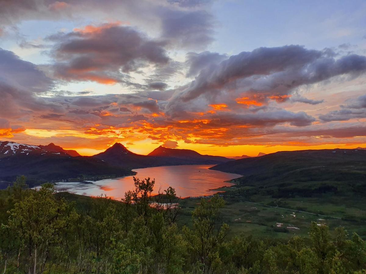 Cabin Magic On Senja, Atmosphere Like A Fairytale Botnhamn Kültér fotó