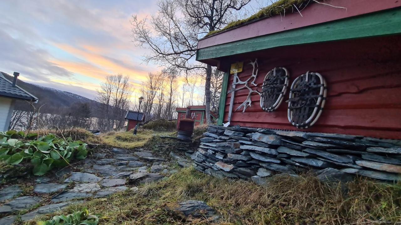 Cabin Magic On Senja, Atmosphere Like A Fairytale Botnhamn Kültér fotó