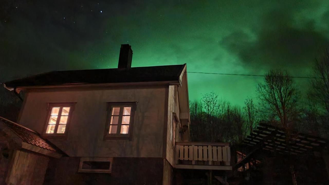 Cabin Magic On Senja, Atmosphere Like A Fairytale Botnhamn Kültér fotó