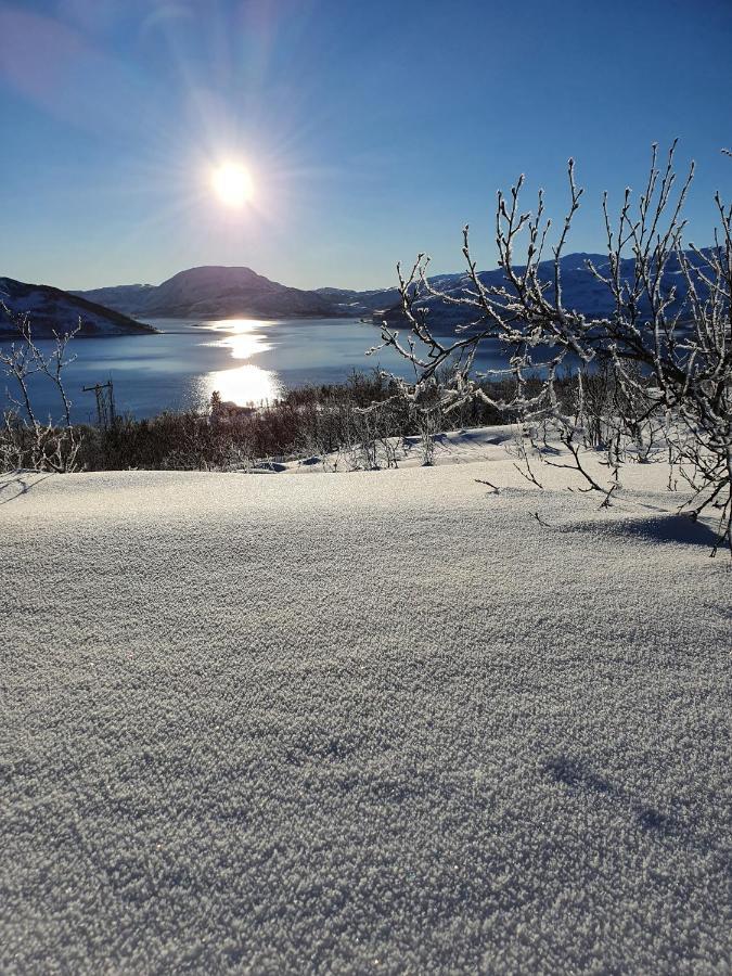 Cabin Magic On Senja, Atmosphere Like A Fairytale Botnhamn Kültér fotó