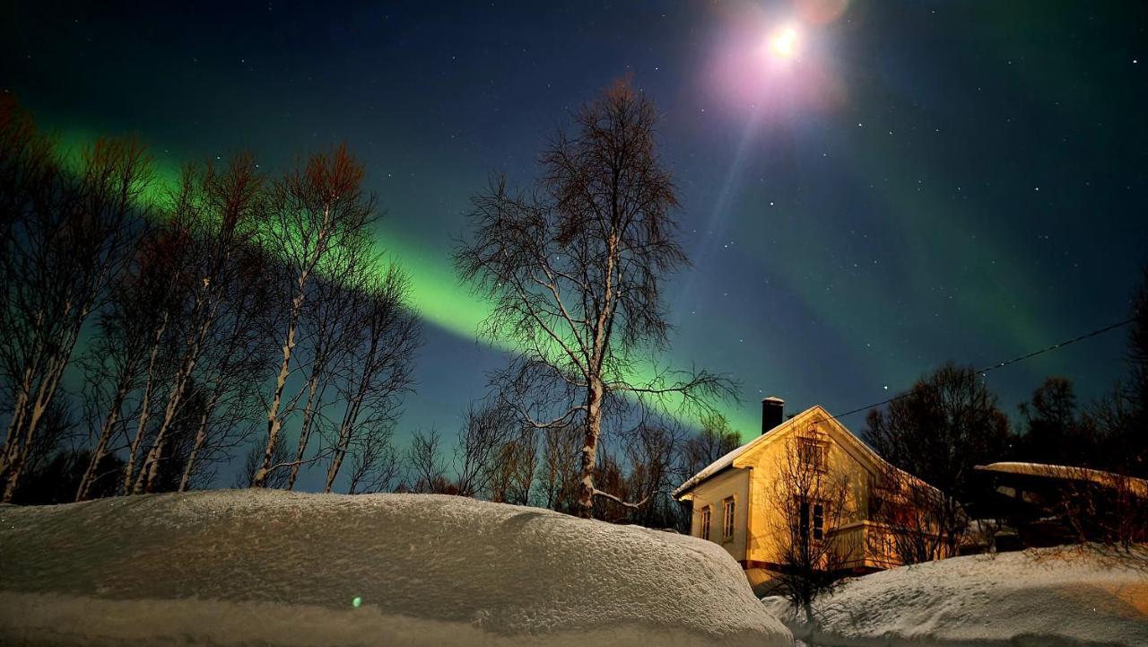 Cabin Magic On Senja, Atmosphere Like A Fairytale Botnhamn Kültér fotó