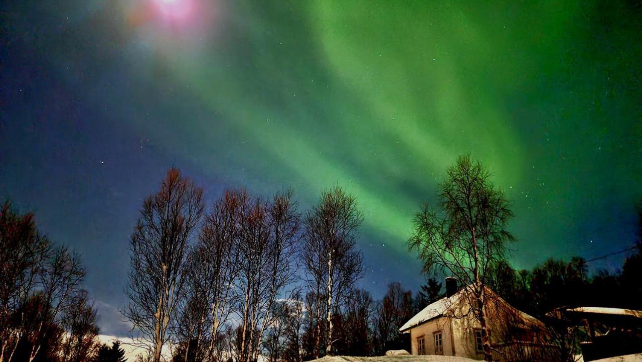 Cabin Magic On Senja, Atmosphere Like A Fairytale Botnhamn Kültér fotó