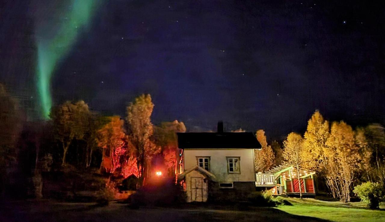 Cabin Magic On Senja, Atmosphere Like A Fairytale Botnhamn Kültér fotó