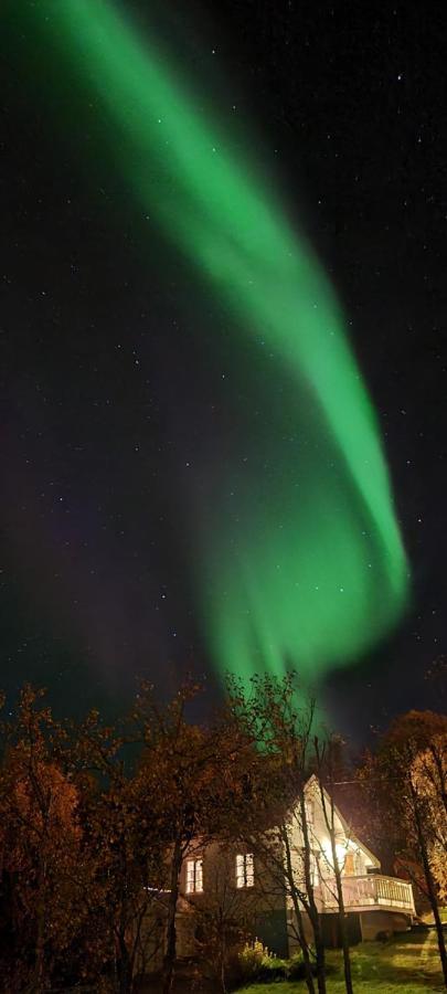 Cabin Magic On Senja, Atmosphere Like A Fairytale Botnhamn Kültér fotó