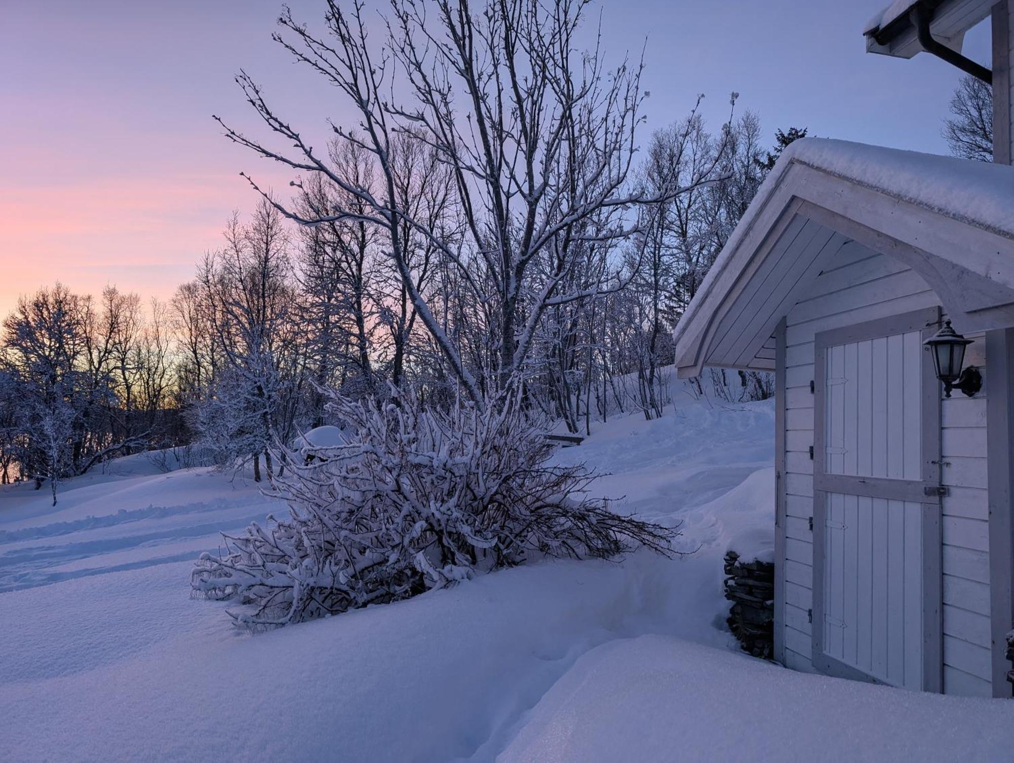 Cabin Magic On Senja, Atmosphere Like A Fairytale Botnhamn Kültér fotó